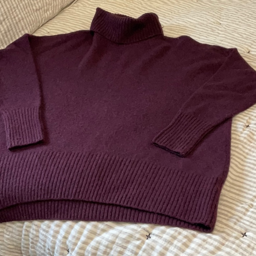 Daily Ritual Burgundy Oversized Turtleneck Tunic Sweater L